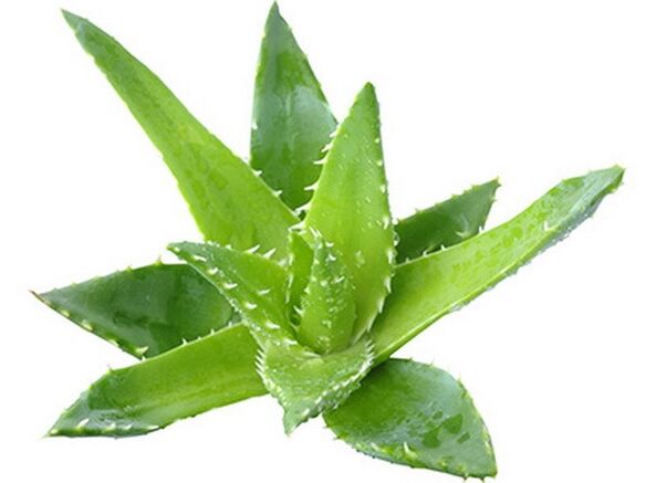 Gelarex contém extrato de aloe vera